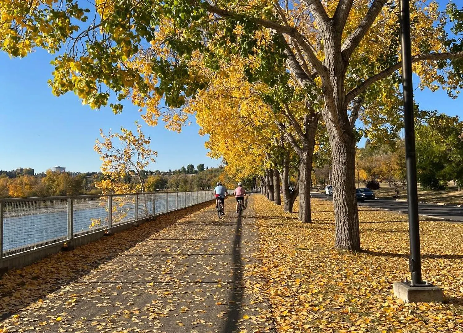 City Centre Confederation Park Home Away From Home 卡加利